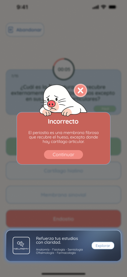 Respuesta incorrecta